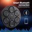 Everfit Music Boxing Machine Bluetooth Wall-Mounted Punch Target with LED Display & Gloves