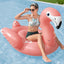 Bestway Flamingo Float Rider Inflatable Ride On Floating Pool Lounger 148x127CM
