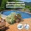 BW-POOL-500-56587-190334-04.jpg