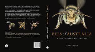 Bees of Australia