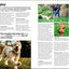Beginner's Dog Training Guide