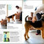 Beginner's Dog Training Guide