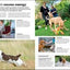 Beginner's Dog Training Guide