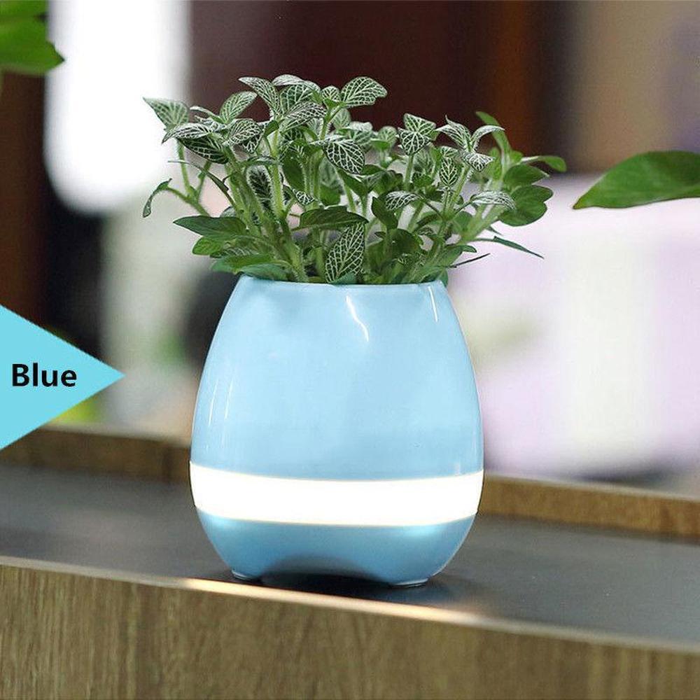 Bluetooth Speaker Plant Music Pot - Real Flower Smart Touch Light Colour Decor