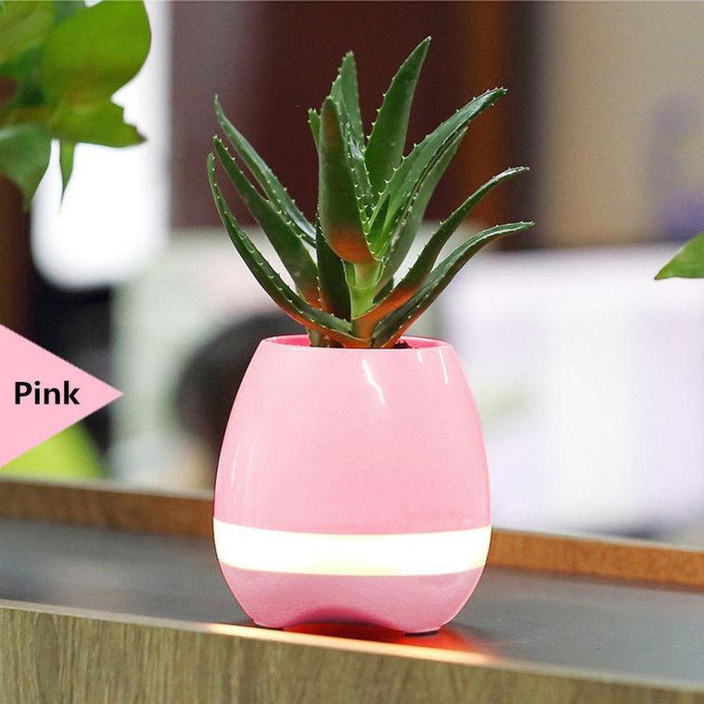 Bluetooth Speaker Plant Music Pot - Real Flower Smart Touch Light Colour Decor