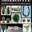 Book of Moldavite, The: Starborn Stone of Transformation