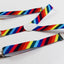 Boys Adjustable Multicoloured Rainbow Diagonal Striped Patterned Suspenders