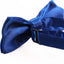 Boys Blue Plain Bow Tie