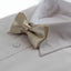 Boys Champagne Plain Bow Tie