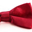 Boys Dark Red Plain Bow Tie