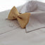 Boys Faint Orange Polka Dot Pattern Bow Tie