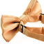 Boys Gold Plain Bow Tie