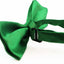 Boys Green Plain Bow Tie