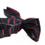 Boys Gunmetal With Red Stripes Patterned Bow Tie