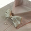 Boys Ivory Plain Bow Tie