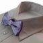 Boys Lavender Plain Bow Tie