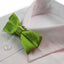 Boys Light Green Plain Bow Tie