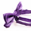 Boys Light Purple Plain Bow Tie