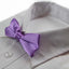 Boys Light Purple Plain Bow Tie