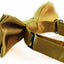 Boys Mustard Yellow Plain Bow Tie