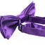 Boys Purple Plain Bow Tie