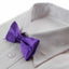 Boys Purple Plain Bow Tie