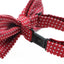 Boys Red Bow Tie With White Polka Dots