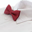 Boys Red Bow Tie With White Polka Dots