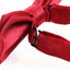 Boys Red Plain Bow Tie