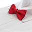 Boys Red Plain Bow Tie