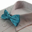 Boys Sky Blue Plain Bow Tie