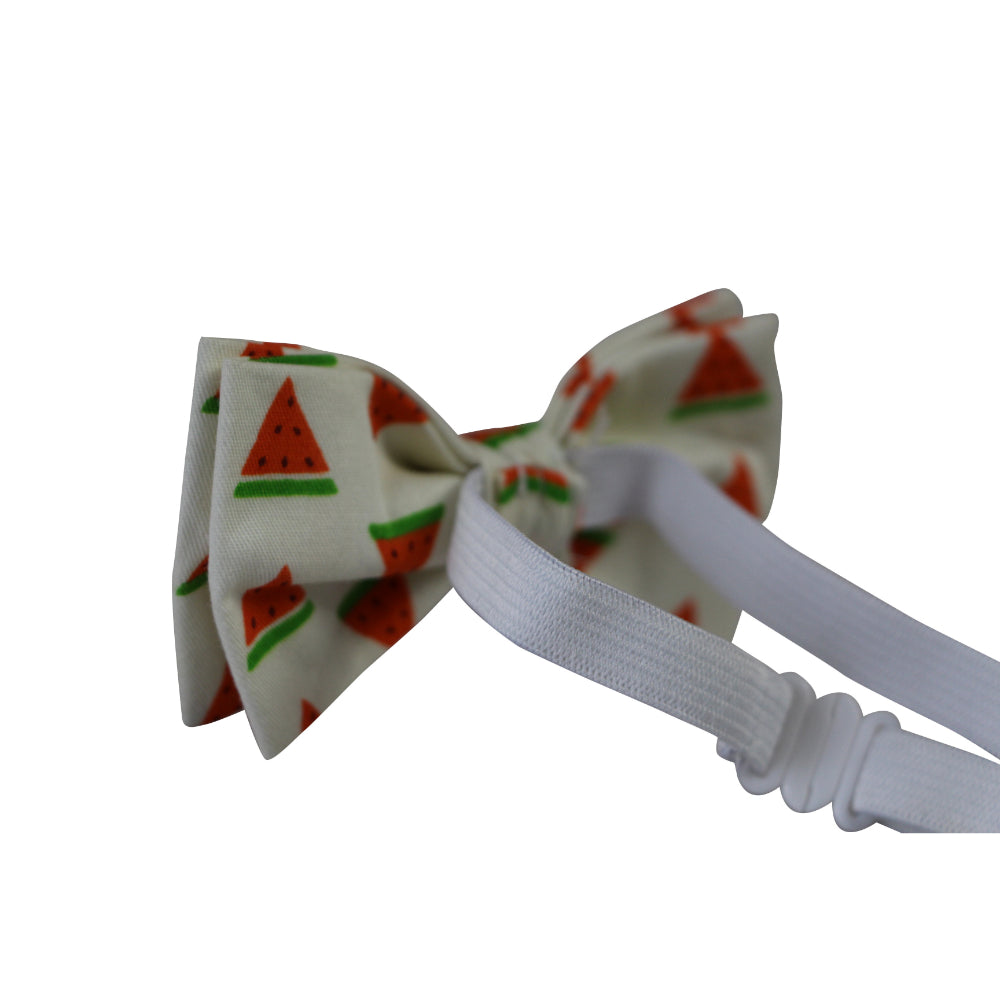 Boys Watermelon Fruit Patterned Bow Tie