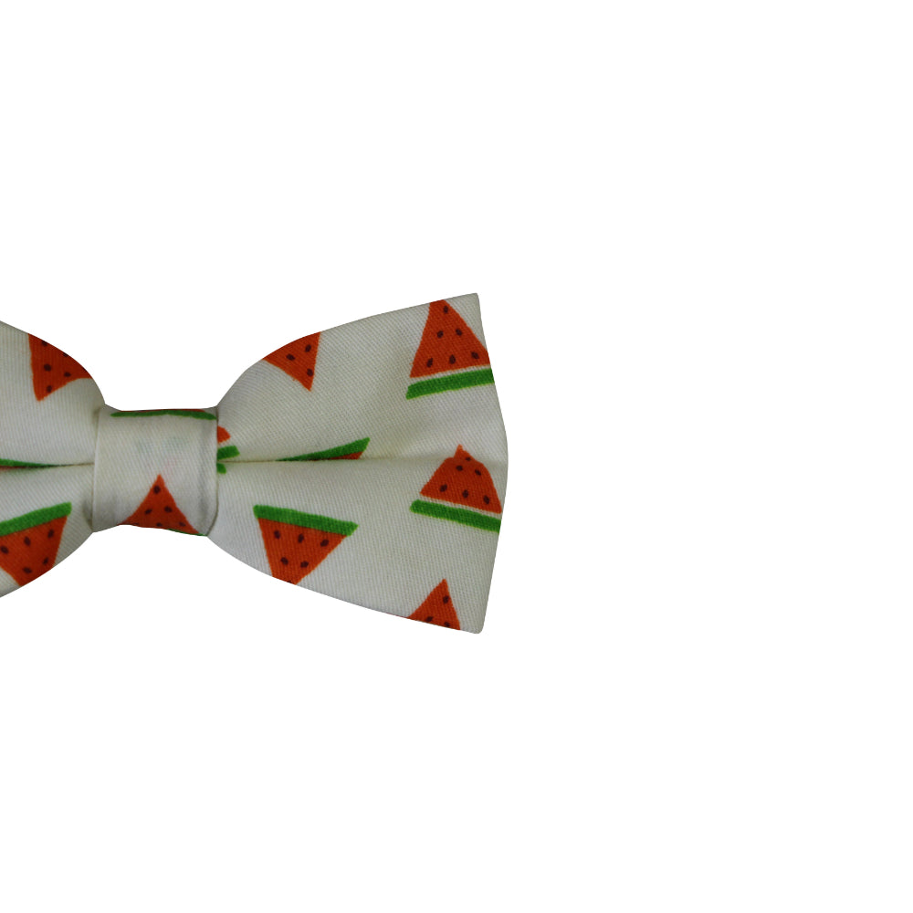 Boys Watermelon Fruit Patterned Bow Tie