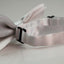 Boys White Plain Bow Tie