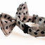 Boys White With Black Small Polka Dot Patterned Bow Tie