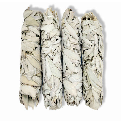 Bulk Californian White Sage Smudge Sticks Jumbo 20-22cm Incense Cleansing Bundle