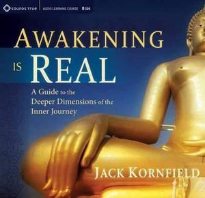 CD: Awakening Is Real (8 CD)