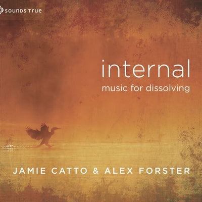 CD: Internal - Music for Dissolving