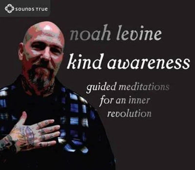 CD: Kind Awareness (2CDs)