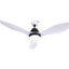 CF-B-48-310-WH-19546-00.jpg