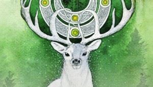 Celtic Spirit Oracle: Ancient wisdom from the Elementals