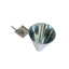 Chicken Kill Cone - Wall Mount Poultry Bird Duck - Killing Funnel Restraint
