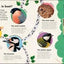 Children's Book of Birdwatching
