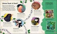 Children's Book of Birdwatching