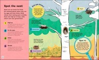 Children's Book of Birdwatching