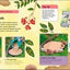 Children's Book of Birdwatching