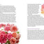 Color of Roses