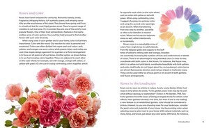 Color of Roses