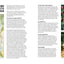 Companion Planting for Beginners