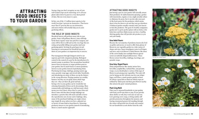 Companion Planting for Beginners
